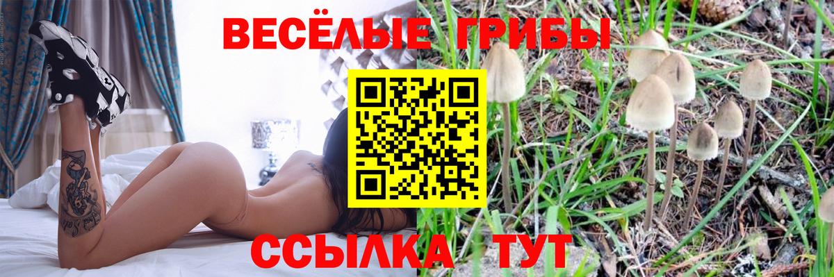 Дюртюли  Галлюциногенные грибы мицелий  где купить наркоту  Вход с VPN  Псилоцибиновые грибы Psilocybine cubensis 