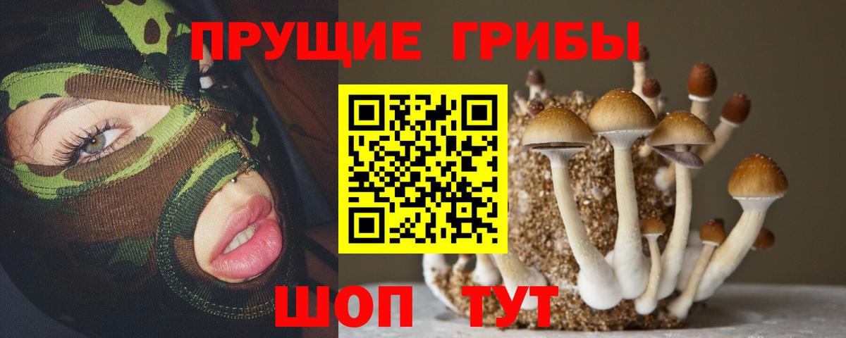 Псилоцибиновые грибы мицелий Дюртюли